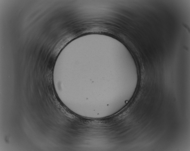 X0000103281329200809261216