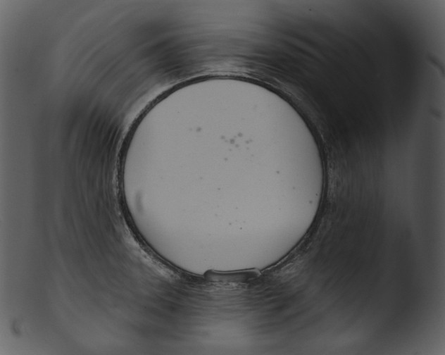 X0000103281331200809261216