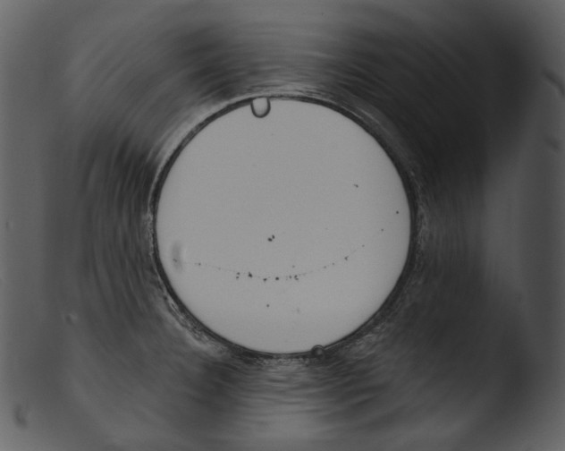 X0000103281332200809261216