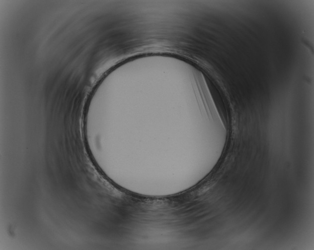 X0000103281334200809261216