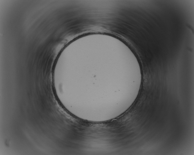 X0000103281335200809261216