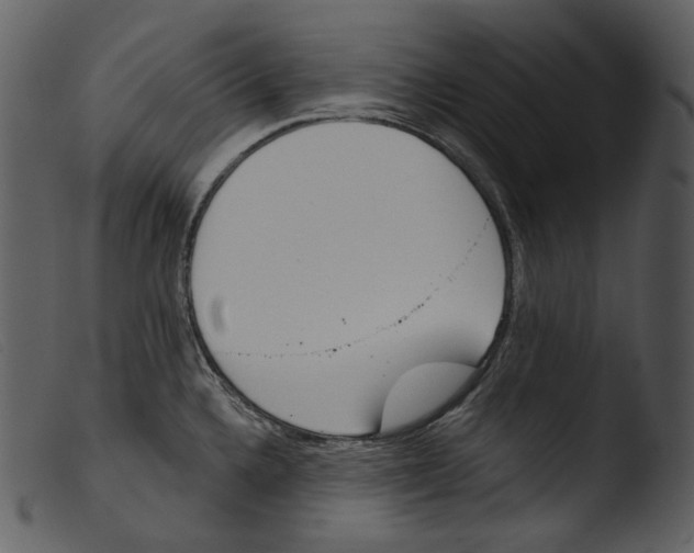 X0000103281336200809261216