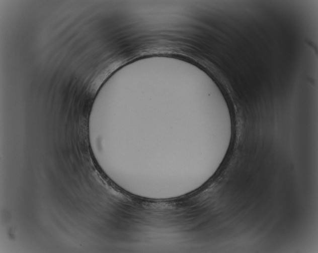 X0000103281337200809261216