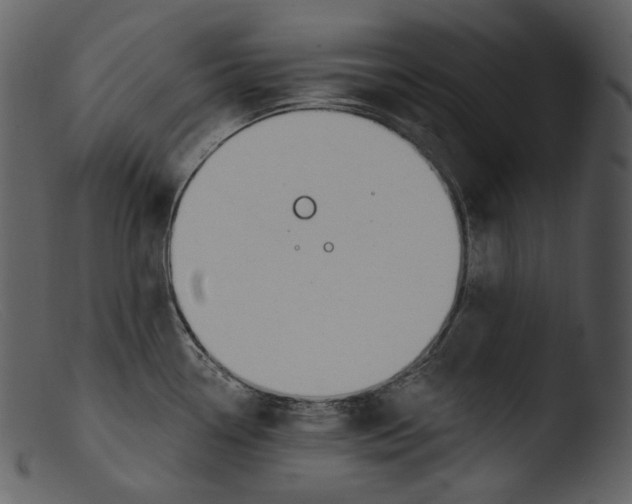 X0000103281338200809261216