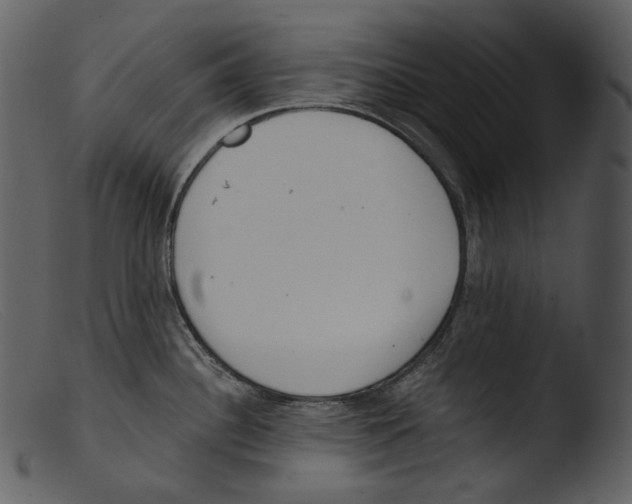 X0000103281340200809261216