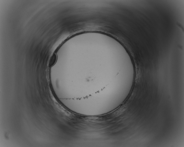 X0000103281342200809261216