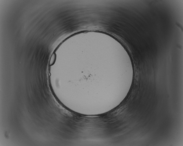 X0000103281343200809261216