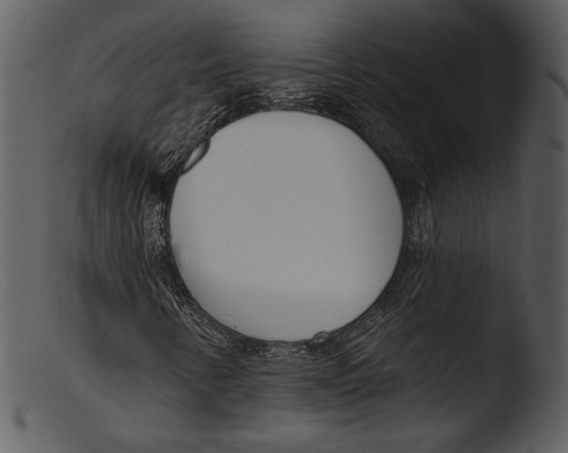 X0000103281346200809261216