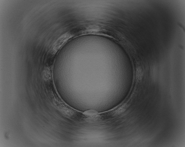 X0000103281353200809261215