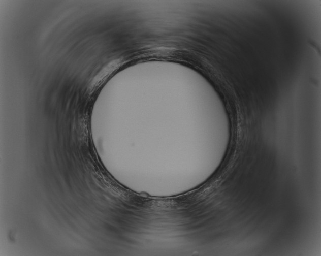 X0000103281354200809261215