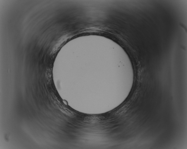 X0000103281355200809261215