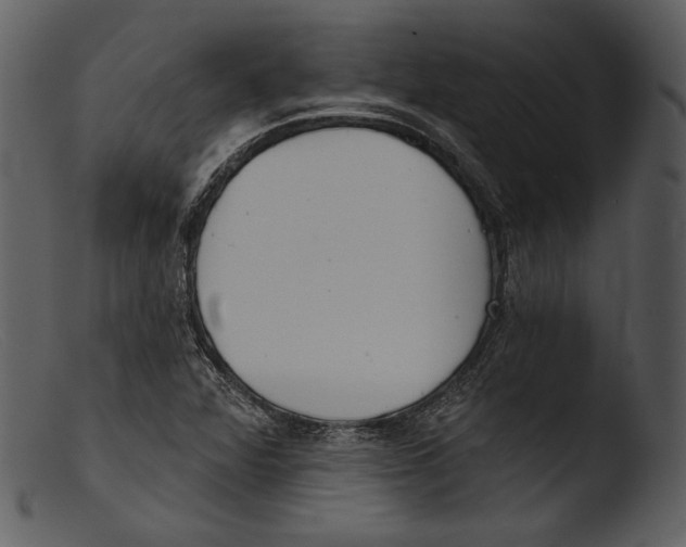 X0000103281360200809261215