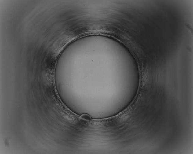 X0000103281361200809261215