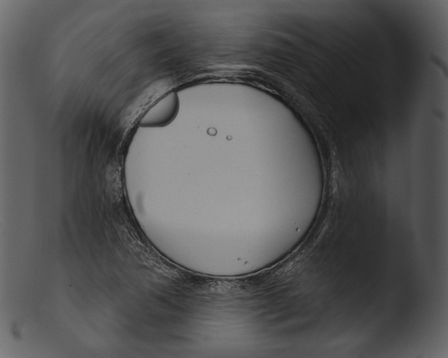 X0000103281362200809261215