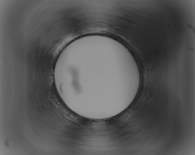 X0000103281363200809261215