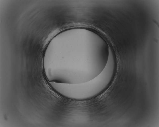 X0000103281365200809261215