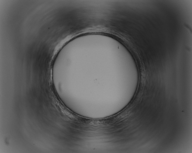 X0000103281366200809261215