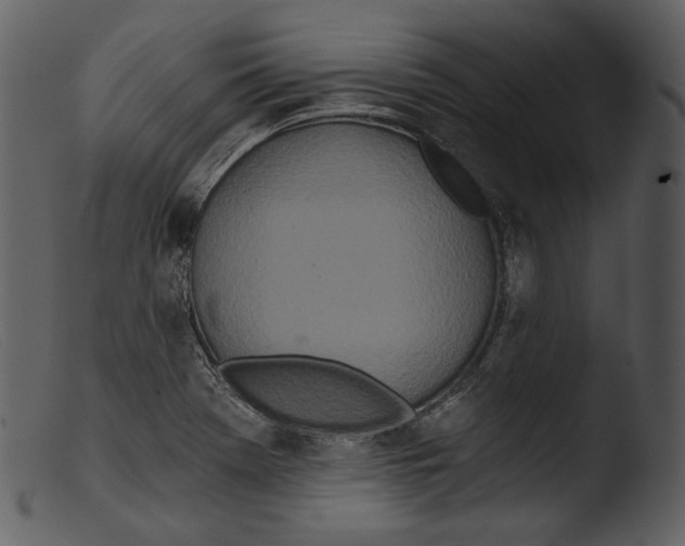 X0000103281369200809261215