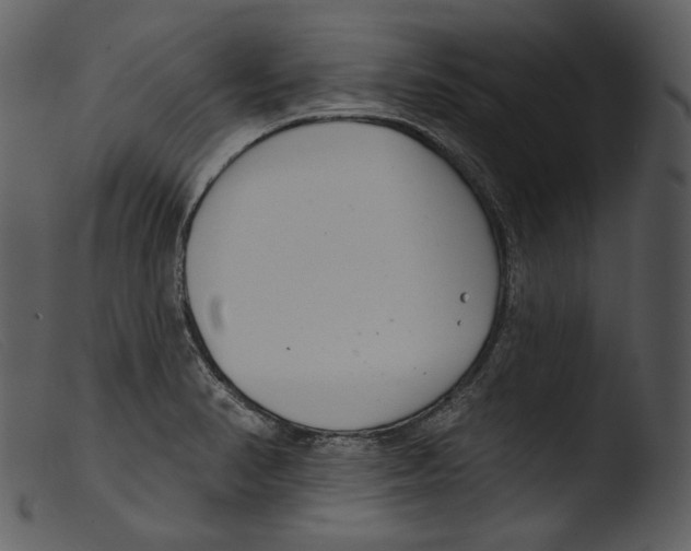 X0000103281374200809261215