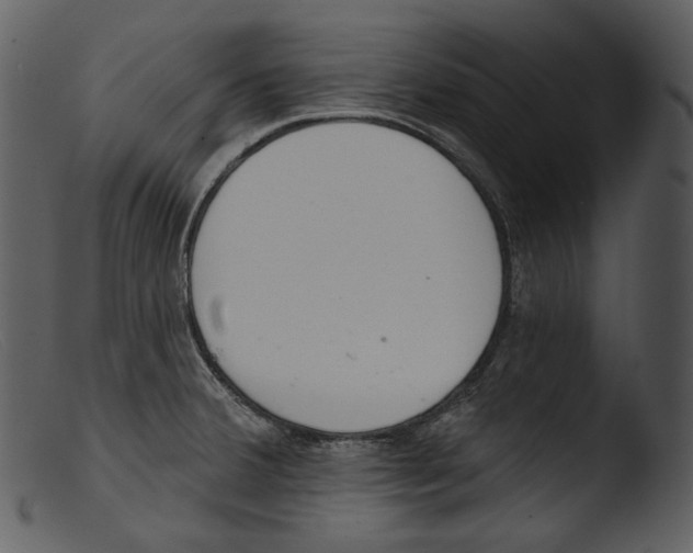 X0000103281380200809261215