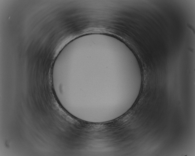 X0000103281382200809261215