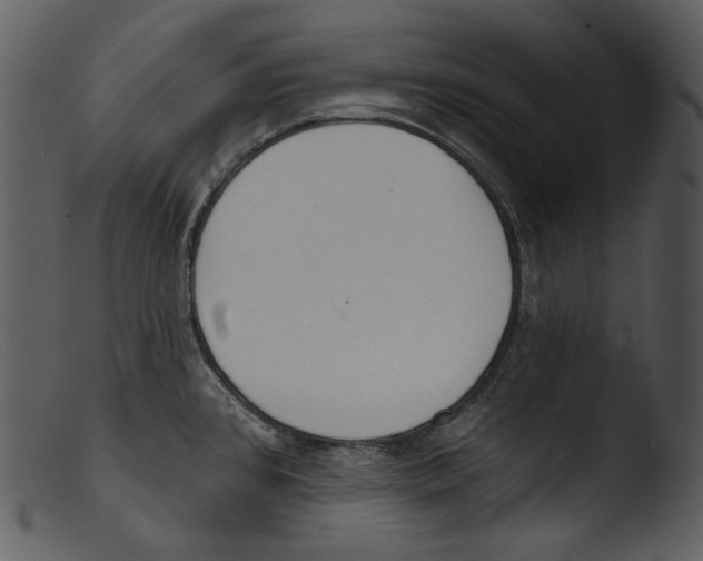 X0000103281384200809261215