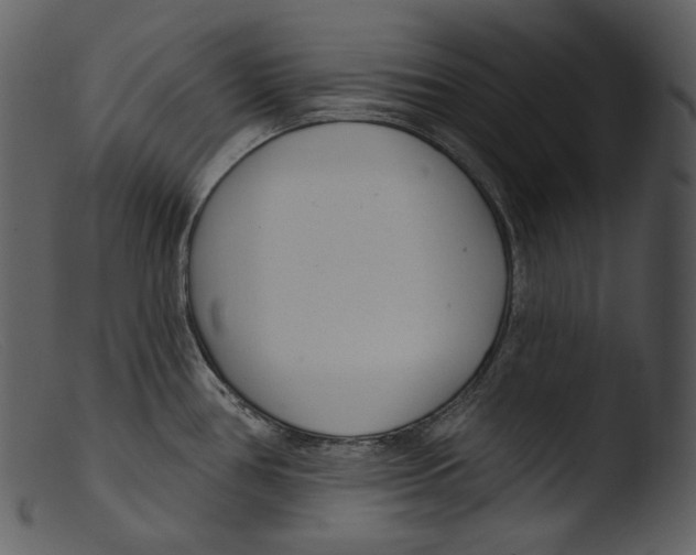 X0000103281386200809261215