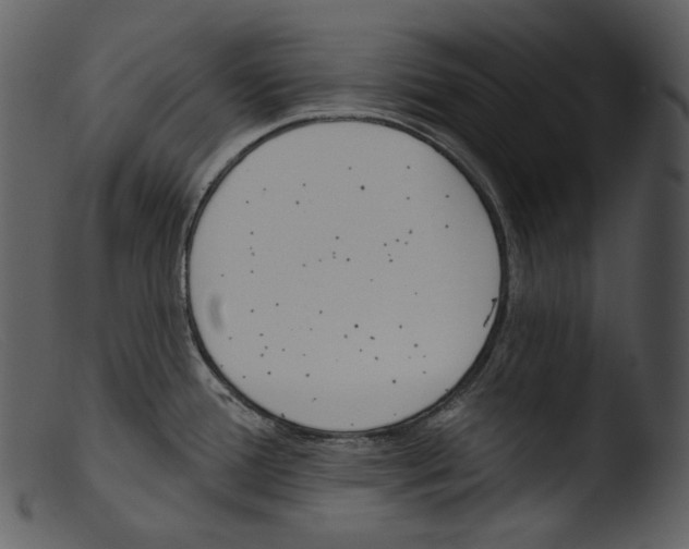 X0000103281388200809261215