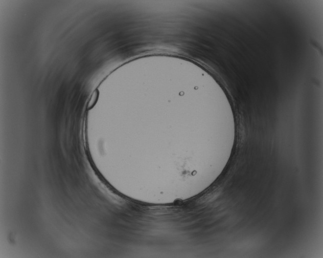 X0000103281391200809261215