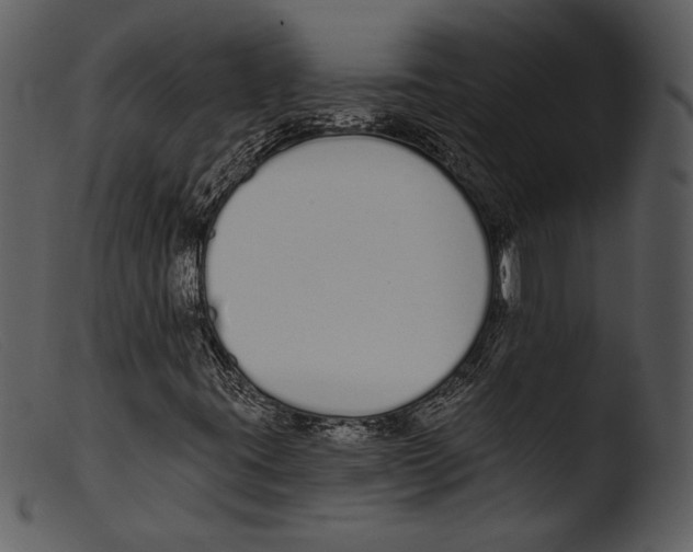 X0000103281395200809261214