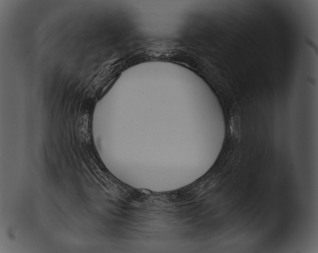 X0000103281396200809261214