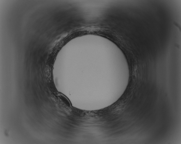 X0000103281398200809261214