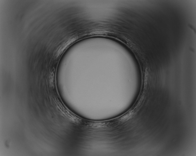 X0000103281401200809261214