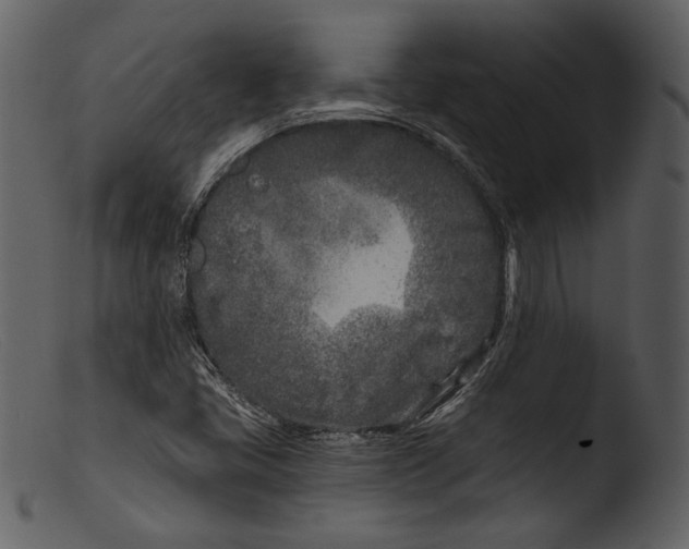 X0000103281405200809261214