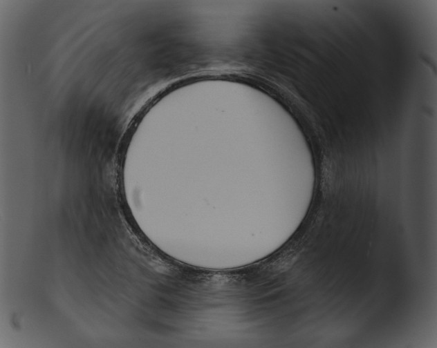 X0000103281412200809261215