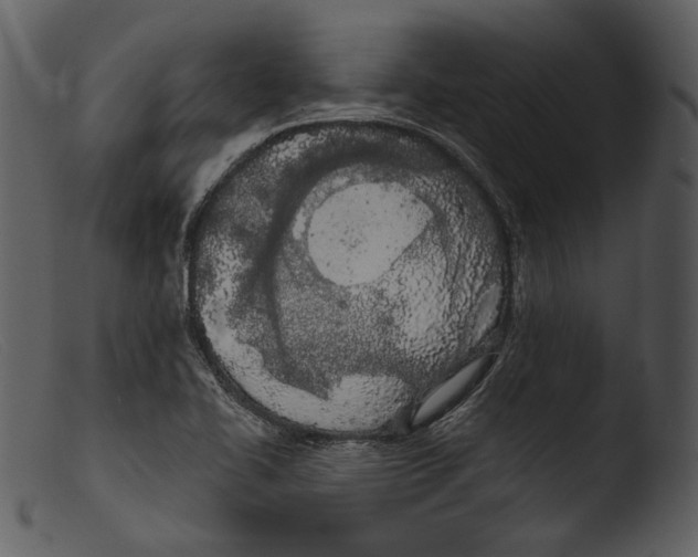 X0000103281414200809261215