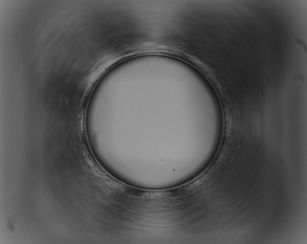 X0000103281415200809261215