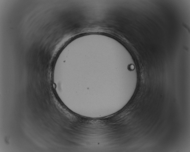 X0000103281416200809261215