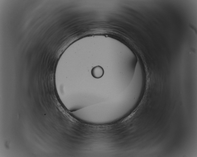 X0000103281417200809261215