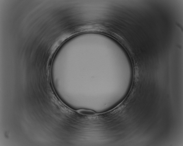 X0000103281419200809261215