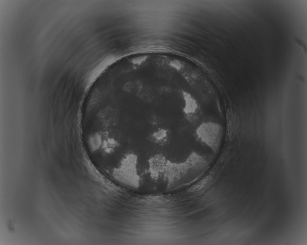 X0000103281422200809261215