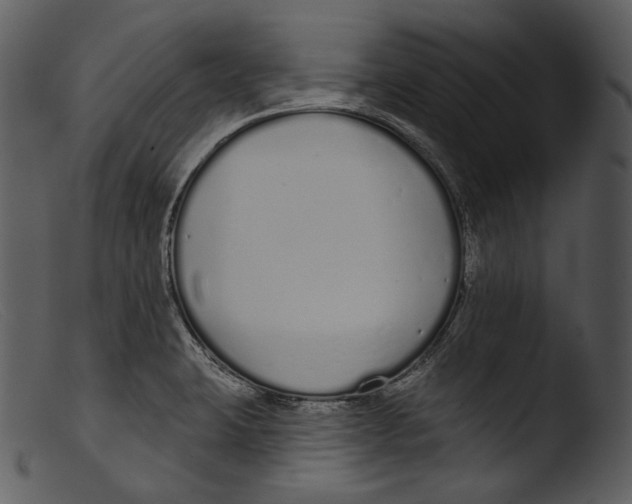 X0000103281423200809261215