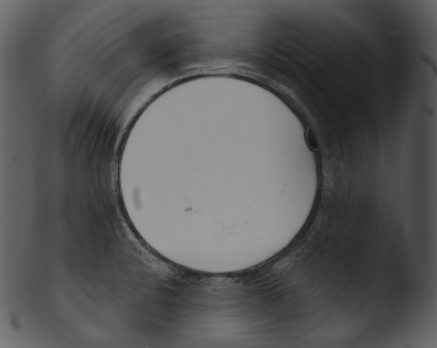 X0000103281424200809261215