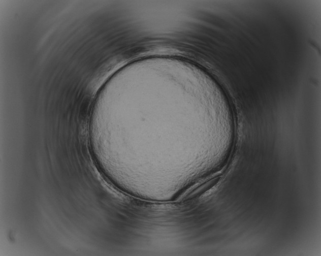 X0000103281425200809261215