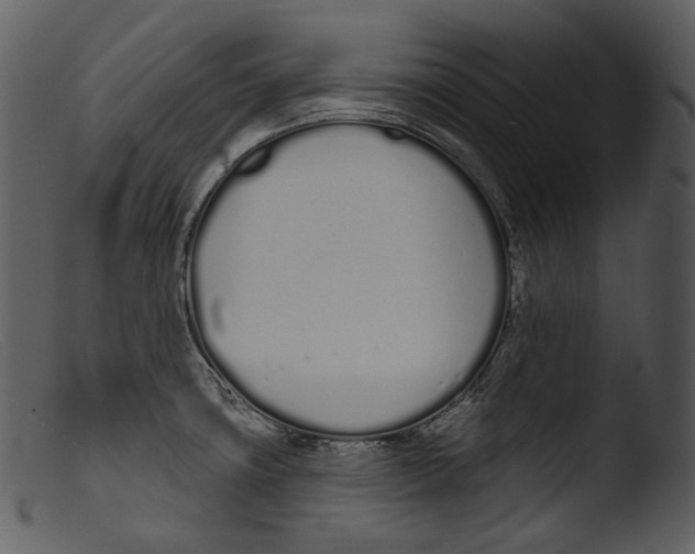 X0000103281427200809261215