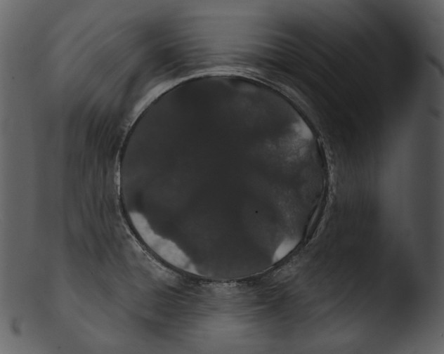 X0000103281428200809261215