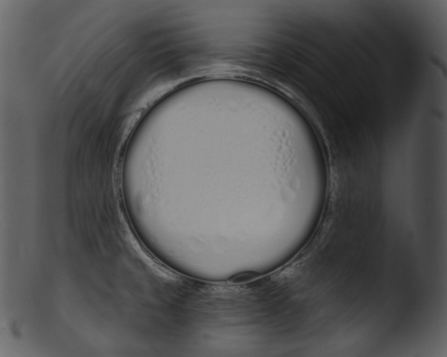 X0000103281429200809261215