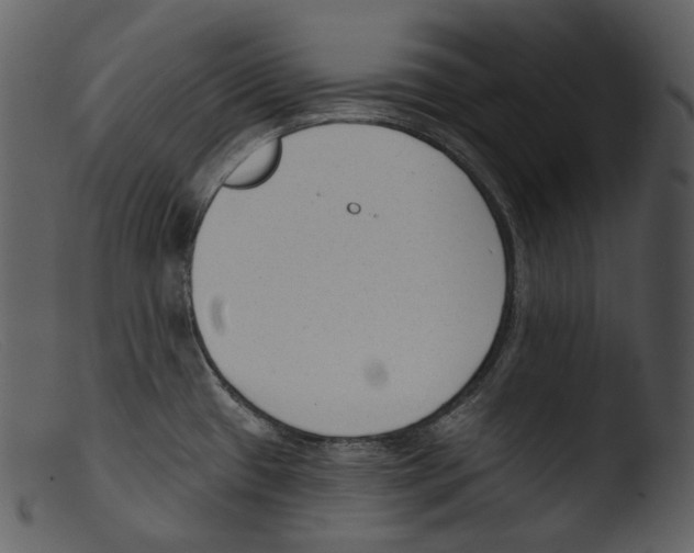 X0000103281433200809261215