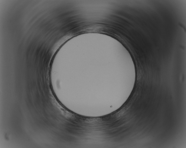 X0000103281434200809261215