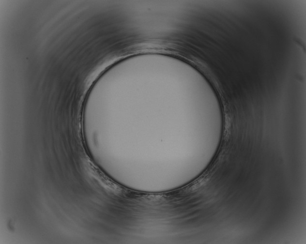 X0000103281435200809261215